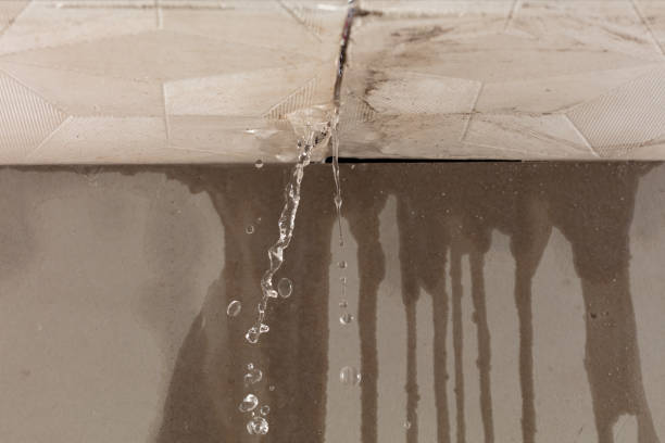 Professional Burst Pipe Cleanup technician working in Houston, OH